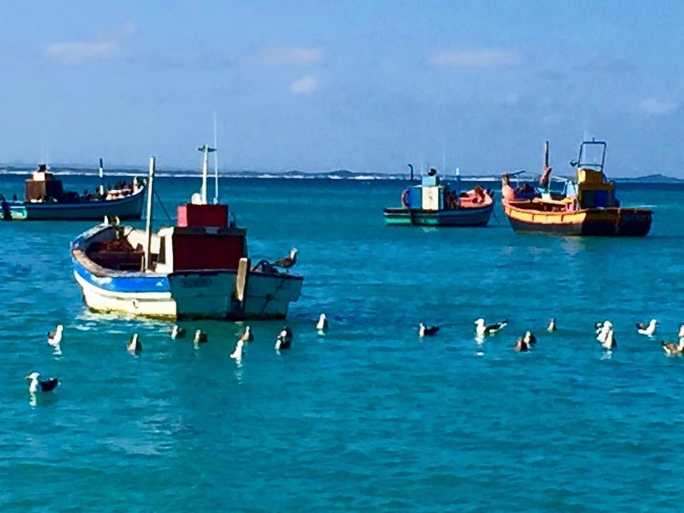 Ferienwohnung The Goose Nest Struisbaai Exterior foto